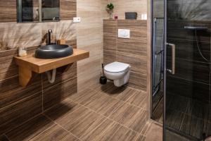 a bathroom with a sink and a toilet at Apartmány Jánošík in Terchová