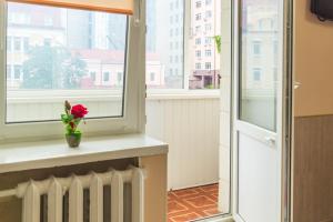 a window with a flower in a vase on a window sill at 1 комнатная квартира по улице Предславинская, 12 in Kyiv
