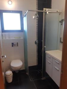 La salle de bains est pourvue d'une douche, de toilettes et d'un lavabo. dans l'établissement Adorable 3 bedroom Brenner "Hill" suite, à Giv‘at Brenner