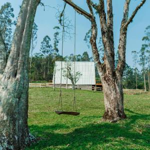 a swing in a field between two trees at Cabana Vale do Funil in Taió