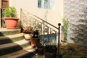 um conjunto de escadas com vasos de plantas sobre eles em luxury villa em Agadir