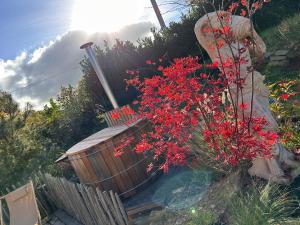 Aed väljaspool majutusasutust Kartier chambre deluxe