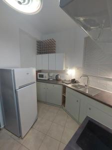 a kitchen with a white refrigerator and a sink at Garden house Karystos in Karistos