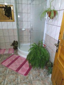 グラ・フモルルイにあるPensiunea Casa Rodicaのバスルーム(シャワー、ピンクのラグ付)