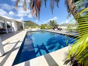 a swimming pool next to a house with a palm tree at Villa la Folie Douce, luxury and serenity, Orient Bay in Orient Bay