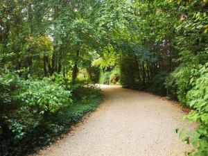 un camino de tierra a través de un bosque con árboles en Awesome Foersum, en Tarm