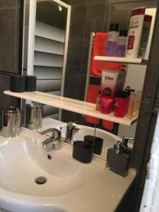 a bathroom with a sink and a mirror and a sink at STUDIO COSY MONTPARNASSE in Paris