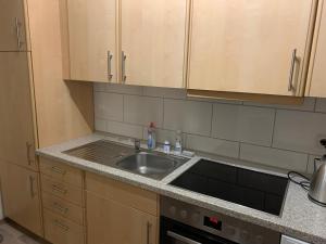 Kuchyň nebo kuchyňský kout v ubytování Ferienwohnung Engelke