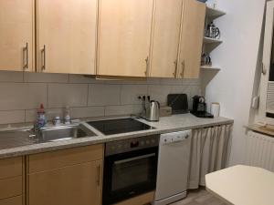Kuchyň nebo kuchyňský kout v ubytování Ferienwohnung Engelke