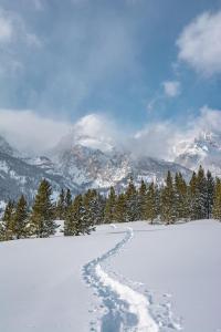 a trail in the snow in front of a mountain at Teton Cabins in Moran