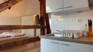a kitchen with a sink and a counter top at Apartments Katrca Ljubljana in Ljubljana