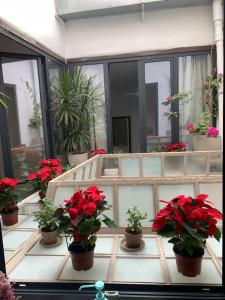 Balkón nebo terasa v ubytování La Cúpula