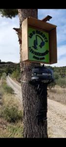 a clock on the side of a tree at R U Ready Fishing, River Ebro in Mequinenza