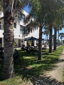 a group of palm trees in front of a building at Andaluhe Posada in Miramar