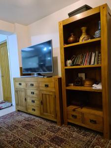 TV a/nebo společenská místnost v ubytování Homely Home