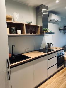 uma cozinha com um lavatório e um fogão forno superior em Albatross Beach Apartment - SPA, Sea and Forest em Ķesterciems