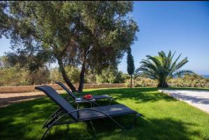 un tavolo e sedie seduti sull'erba di Avithos Blue Villas a Svoronáta