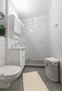 Ett badrum på Lion's Unirii Apartment