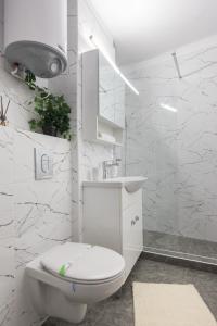 bagno bianco con servizi igienici e lavandino di Lion's Unirii Apartment a Bucarest