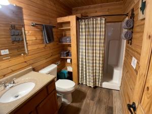 y baño con aseo, lavabo y ducha. en Walnut Canyon Cabins en Fredericksburg