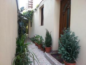 a row of potted plants in front of a building at Banu Manta Apartments in Bucharest