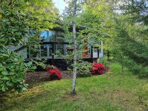 uma casa no meio de um quintal com árvores em Dalrymples Guest Cottages em Marysville