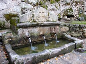 A garden outside Hostal Yuste