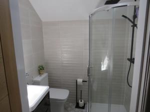 a bathroom with a shower and a toilet and a sink at The Tack Room at Eastmoor Farm in Bridlington