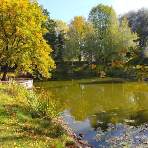 un estanque en medio de un parque en Ferienwohnung H2 am Hainich, 