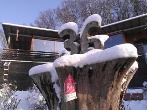 B&B Sunnesite Pratteln að vetri til