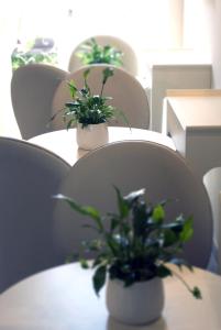 Fotografie z fotogalerie ubytování B&B Verona Centro v destinaci Verona