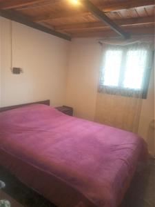 1 dormitorio con cama morada y ventana en Cabaña Lo Palma Potrerillos en Potrerillos