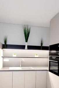 A kitchen or kitchenette at Luxury Apartment Nikiti Olea Valley