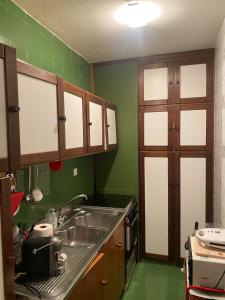 una cocina con paredes verdes y fregadero en Appartamento incantevole e confortevole con Camino, en Terminillo