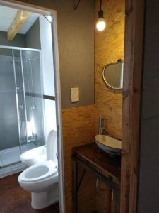 uma casa de banho com um WC, um lavatório e um espelho. em Casa de montaña em Potrerillos