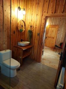 a bathroom with a toilet and a sink at Patagonia East River in Llanada Grande +24 photos