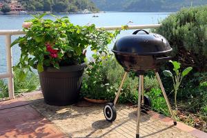 grill na stoisku obok garnka roślin w obiekcie Apartments by the sea Okuklje, Mljet - 4912 w mieście Maranovići