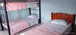 Ce dortoir comprend 2 lits superposés. dans l'établissement Hostal El Balcon de madera, à Norcasia