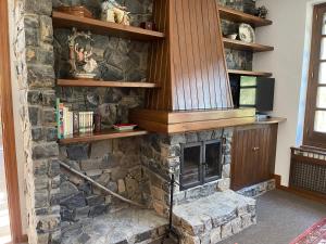una chimenea de piedra en una sala de estar con estanterías de madera en Mirador del Valle Bed & Breakfast, en Eriste