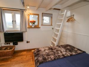 a room with a ladder and a tv and a bed at Shepherds Cabin at Titterstone in Farden