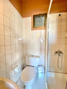 een badkamer met een toilet, een douche en een wastafel bij Kaan Hotel & Apartment in Kyrenia