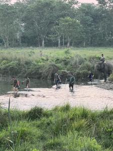 a group of people crossing a river with elephants at Chitwan Park Village in Sauraha