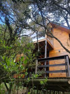 una cabaña en el bosque con un árbol en Morada Alto Das Nuvens, en São José dos Ausentes