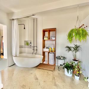 a bathroom with a tub and plants in it at wild coastal St Andrews Beach in Saint Andrews Beach