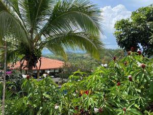 a palm tree and plants with a house in the background at Villa Garita Inn in La Garita