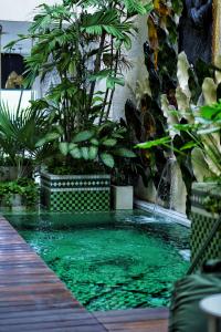 a swimming pool with plants and a fountain at Layla Tulum - Adults Only in Tulum