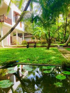 a pond in front of a house with palm trees at Manel Villa in Bentota