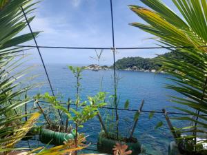 Cette chambre avec des plantes offre une vue sur l'océan. dans l'établissement Hin Wong Apartments Dive & Snorkel Resort, à Koh Tao