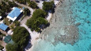 Tiputa的住宿－LE FARE BLEU Tiputa Rangiroa，享有热带岛屿的空中景致,那里有树木和水