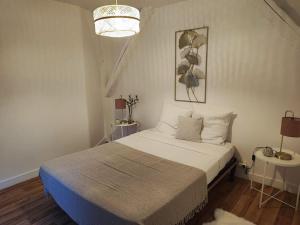 a bedroom with a bed and two tables with lamps at Magnifique Appartement Beaux arts in Tours